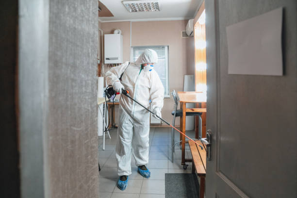 Trusted Lake Montezuma, AZ Mold Removal Experts