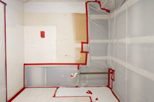 Best Dehumidification Services  in Lake Montezuma, AZ