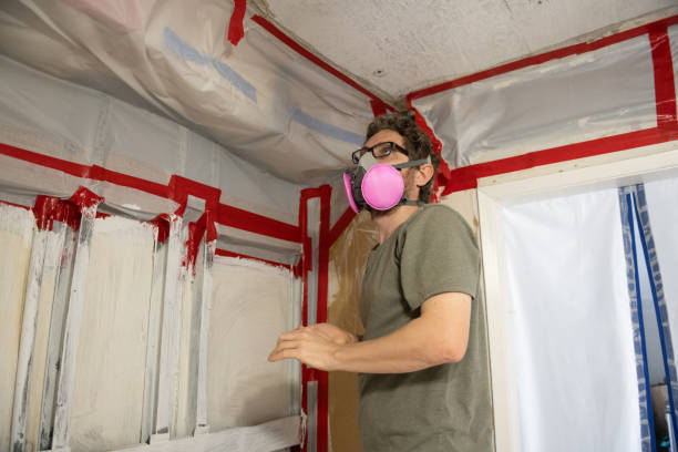 Best Mold Prevention Services  in Lake Montezuma, AZ
