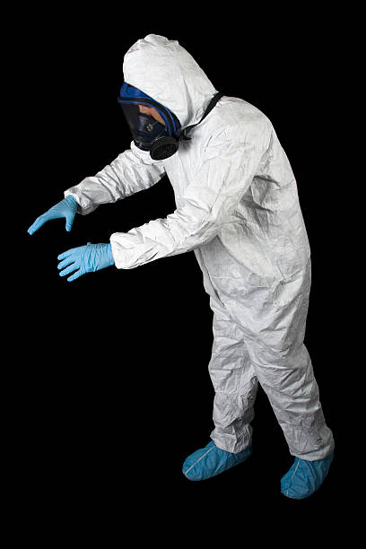 Best Attic Mold Removal  in Lake Montezuma, AZ